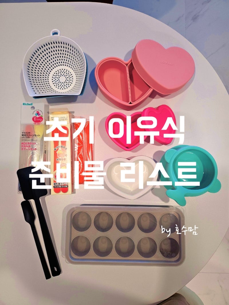 초기 이유식 준비물 리스트 총 정리 ㅣ 내돈내산 큐브 이유식 필수템