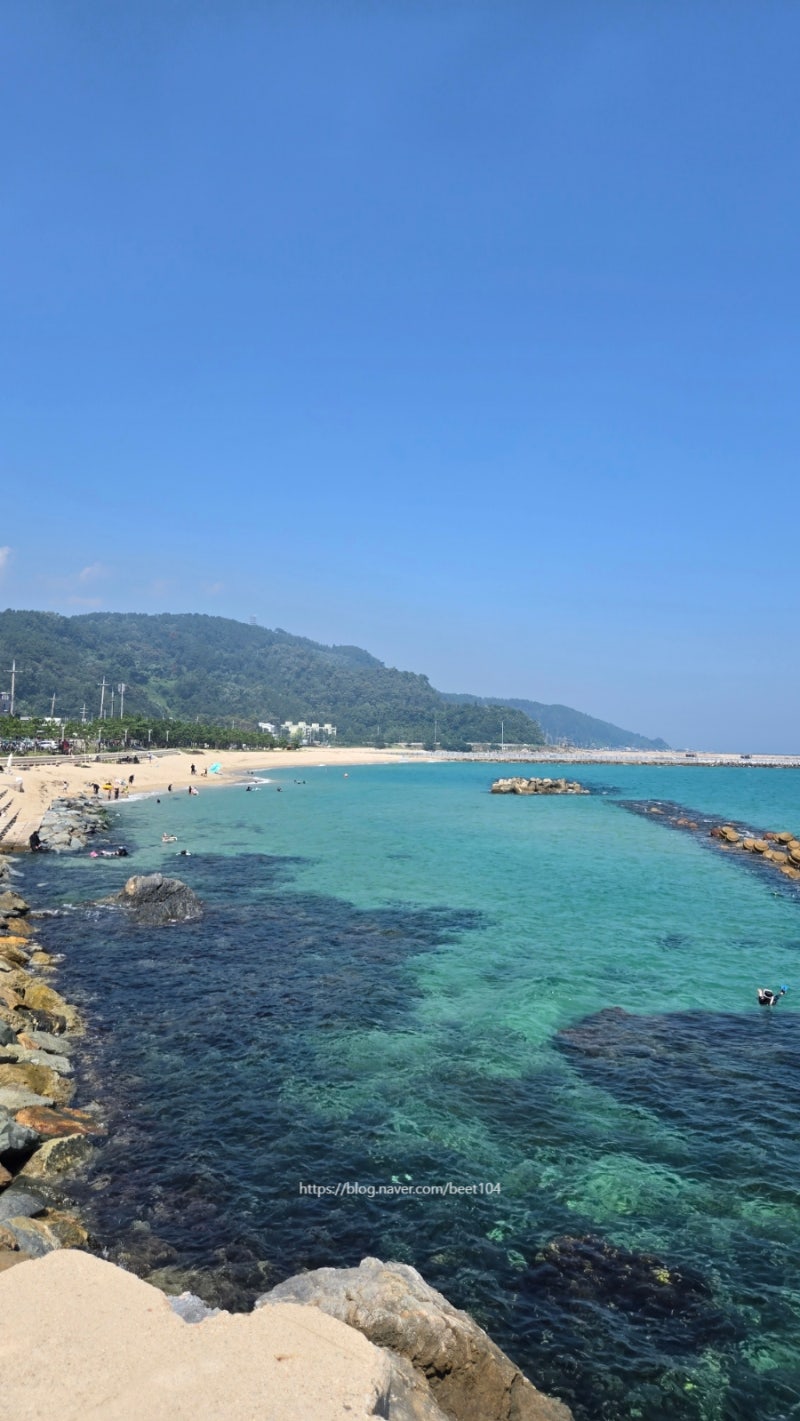 [울진] 2박 3일 트래킹_해파랑길 24코스_후포항-울진대게유래비-월송정-구산해수욕장-기성버....