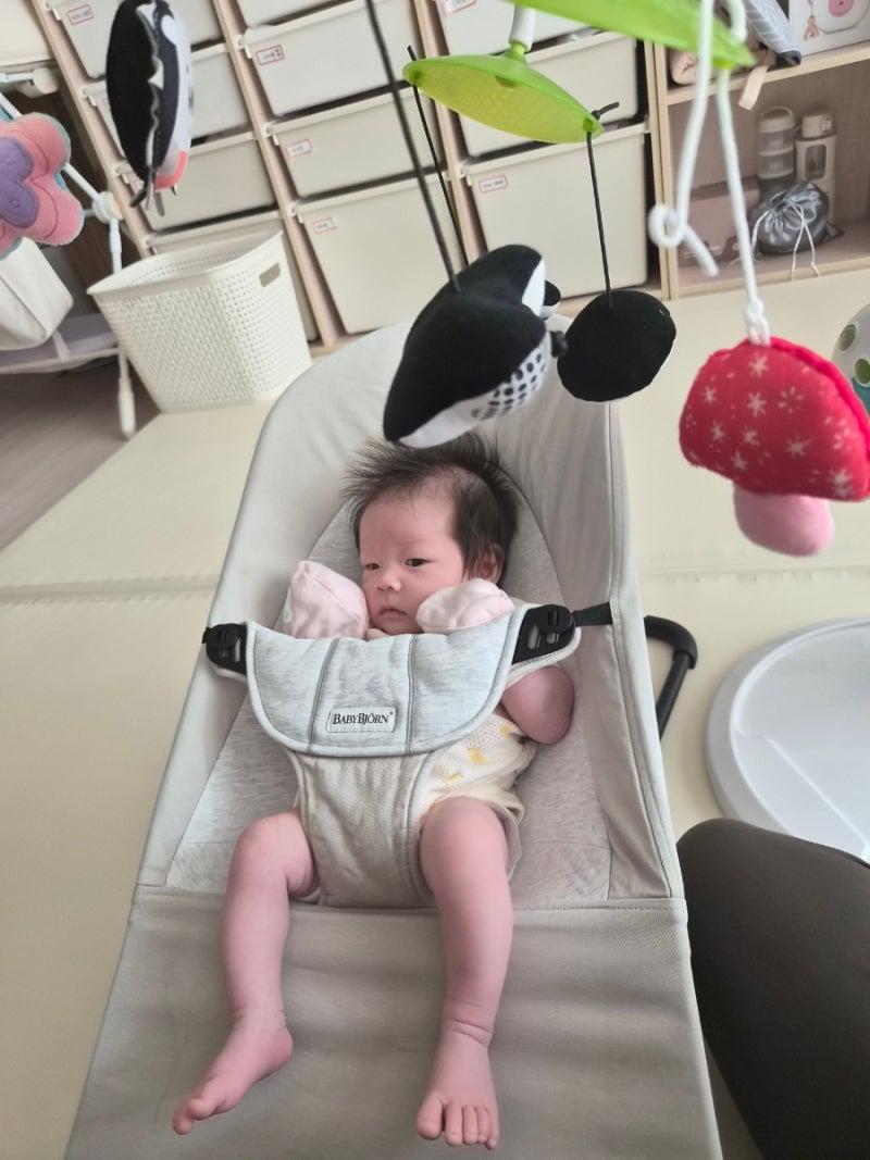 베이비뵨바운서 언제부터 언제까지?!? 사용시기