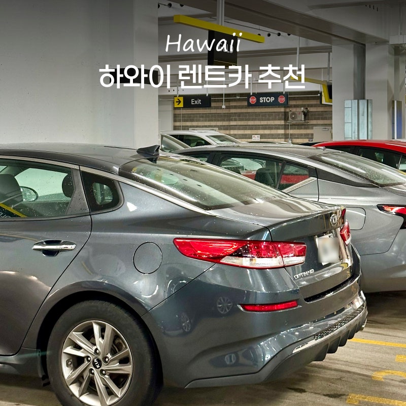 미국 하와이 렌트카 추천 비용 자유여행 허츠 렌트카 픽업 후기