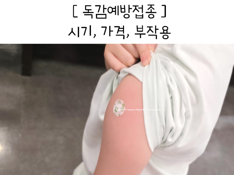 2026 독감예방접종 유아 변경된 시기 가격 조회 방법 성인 부작용