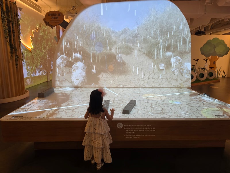 Jeonju Natural Ecology Center: Indoor Experience Review with Kids (Including Fireflies)