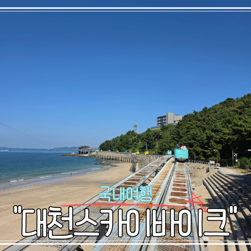 대천스카이바이크 주말 현장예매 후기 및 팁