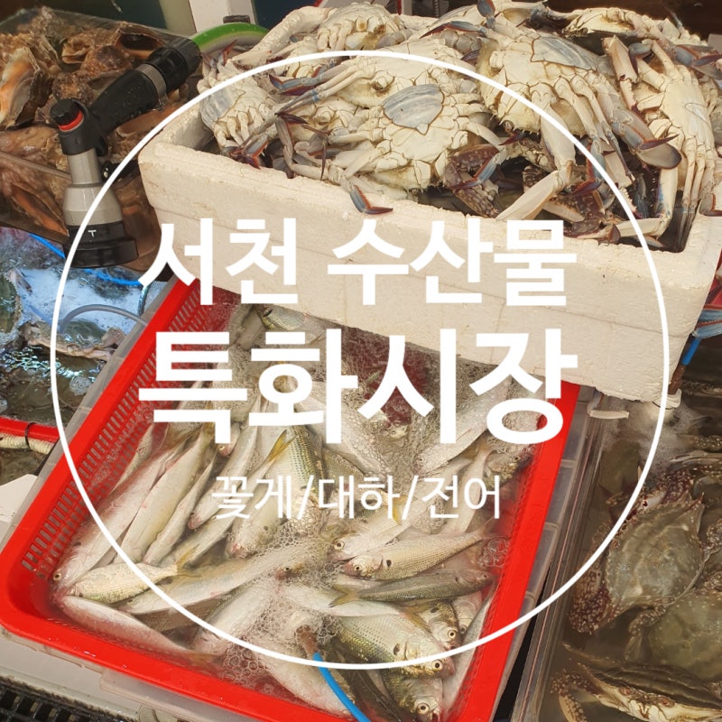서천 수산물 특화시장 활 꽃게 대하 시세ㅣ캠핑음식 마요네즈 꽃게찜
