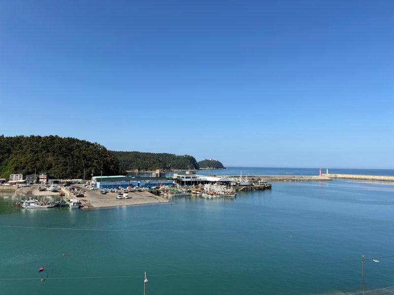 泰安松島オートキャンプ場｜海の目の前で楽しむ久しぶりの家族キャンプ
