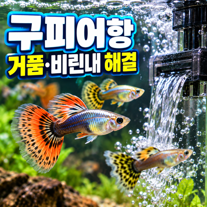 구피어항 여과기 설치 어항거품 비린내 원인 및 해결법