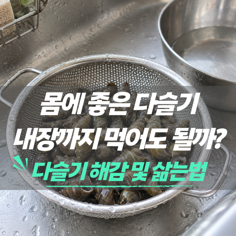 다슬기 해감과 삶는법, 내장까지 먹어도 괜찮을까