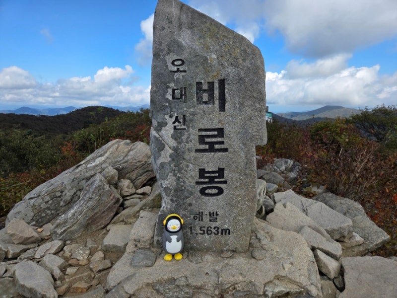 산림청 블랙야크 100대 명산 강원도 오대산 상원사 최단 원점회귀 등산코스 후기 소요시간 트....