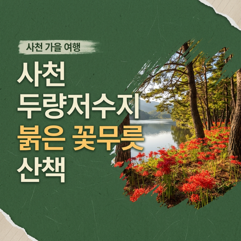 사천 두량저수지 꽃무릇 개화, 한적하게 즐기는 가을 산책길