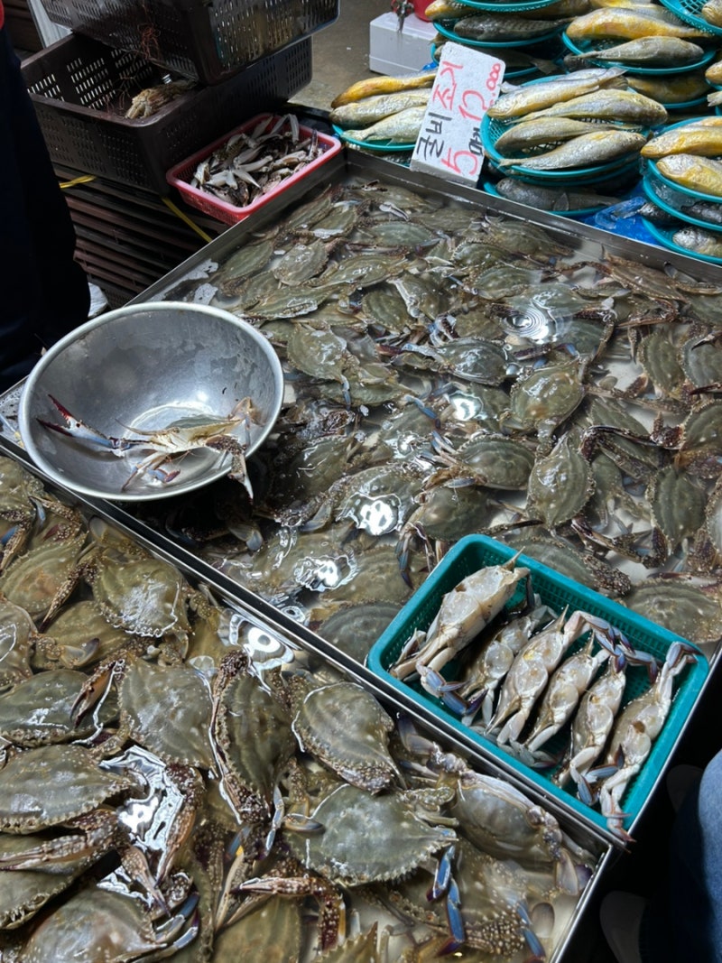 가을 꽃게ㅣ숫꽃게 고르는 법 꽃게 손질 법, 꽃게찜, 꽃게마요구이 레시피