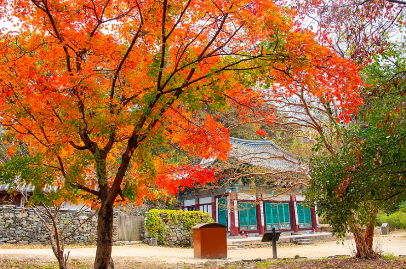 Explore Baekje Royal Capital: Gongju's 10 Scenic Views in Chungnam