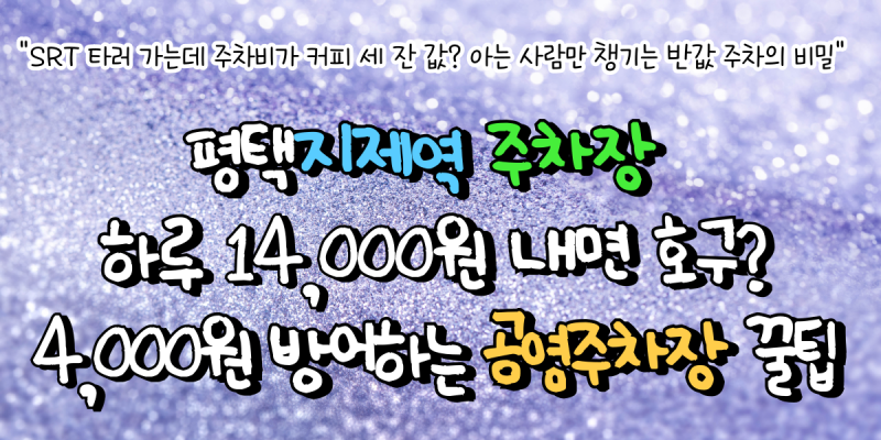 평택지제역 주차장 하루 14,000원 내면 호구? 4,000원 방어하는 공영주차장 꿀팁