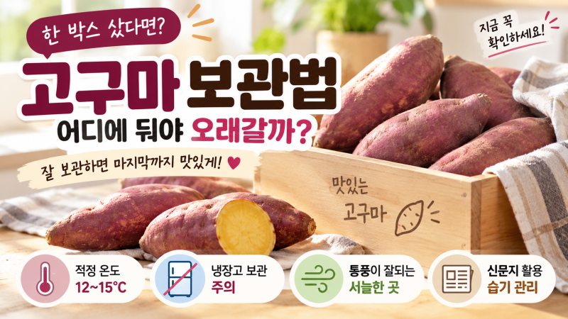 고구마 보관법, 한 박스 샀다면 어디에 둬야 오래갈까?