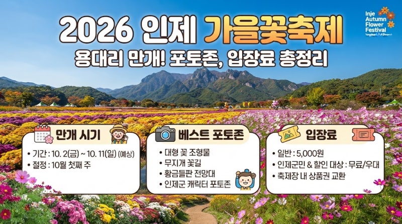 2026 인제 가을 꽃 축제, 용대리 만개 시기와 입장료 등 총정리