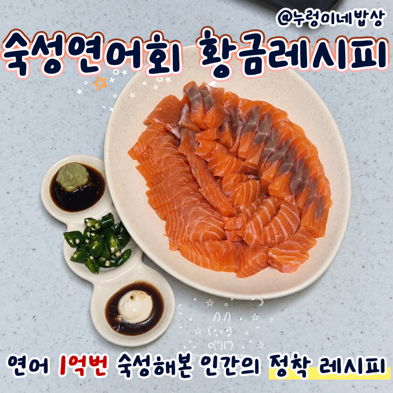 연어숙성방법 황금레시피 꿀팁 숙성연어회 집에서 해먹기