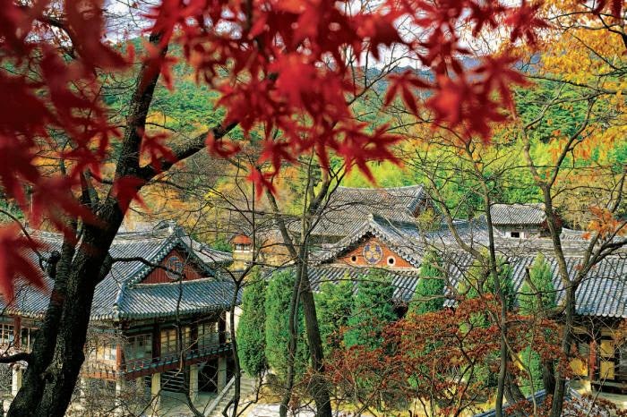 2026 대구·경북·경남 가을 단풍 나들이 추천｜대구 출발 당일치기 드라이브 코스 6곳