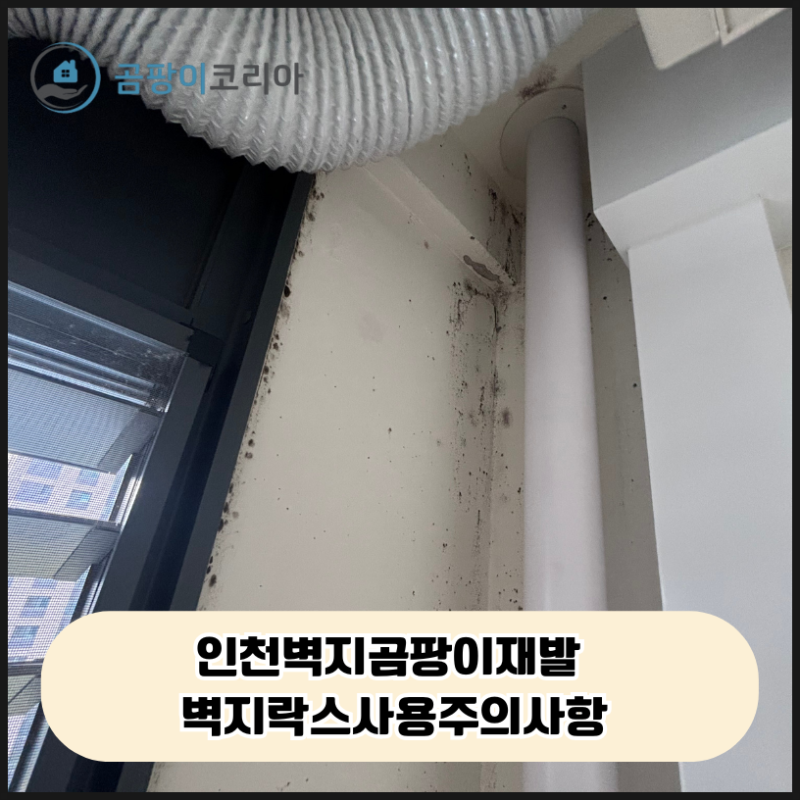 인천벽지곰팡이재발 벽지락스사용주의사항