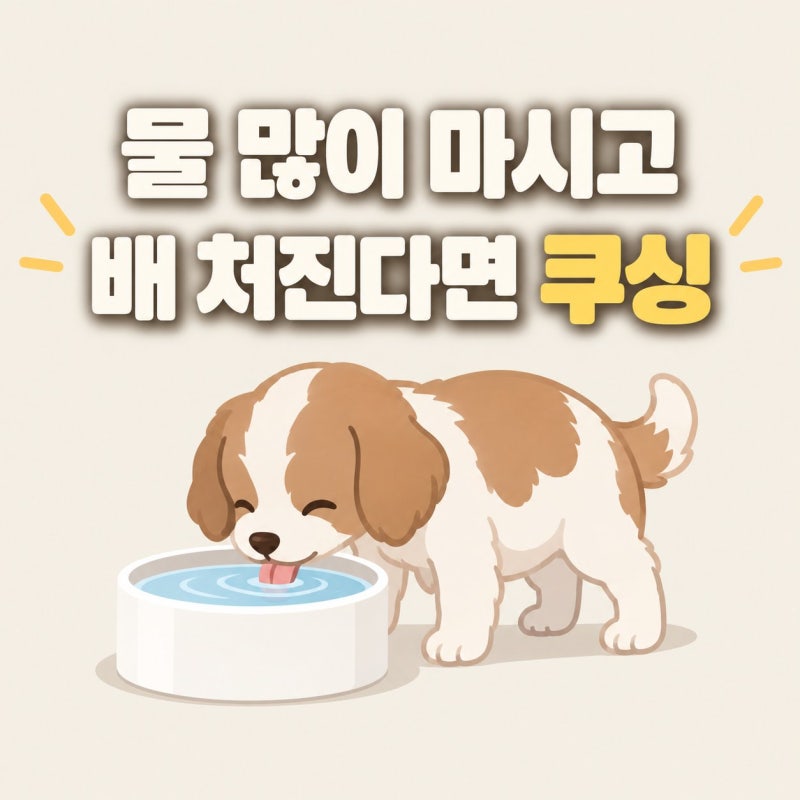 강아지 쿠싱증후군 초기증상 5가지와 LDDST 검사부터 트릴로스탄 치료까지