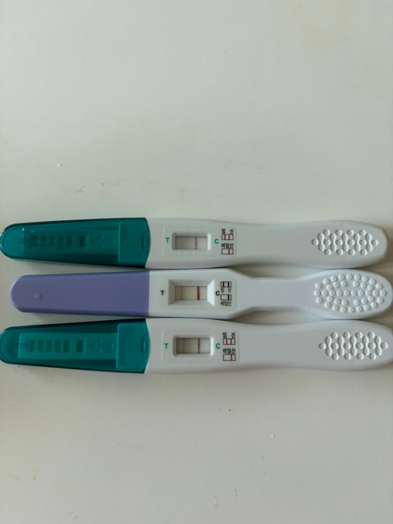 배란 9일차 10일차 11일차 12일차 증상 얼리임테기 단호박 한줄 이었다가 두줄 뜸.