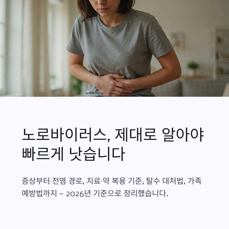 노로바이러스 증상 복통 설사 원인, 전염 치료 약 예방법