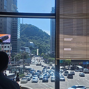가끔은 계획에 없던 점심이 더 좋다  더 펄 바이 그릴도하 명동점에서