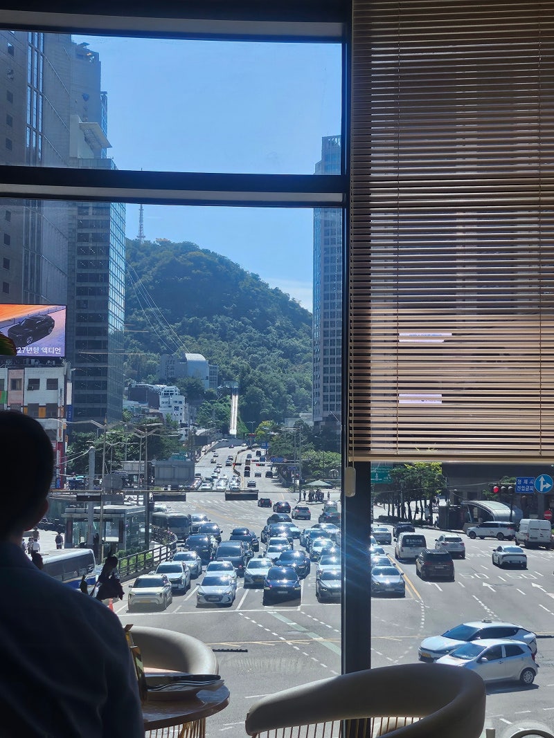 가끔은 계획에 없던 점심이 더 좋다 더 펄 바이 그릴도하 명동점에서