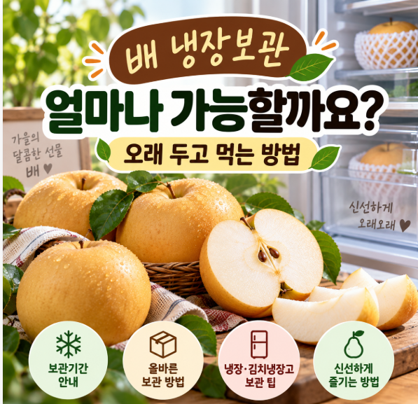 배 냉장보관 얼마나 가능할까요?｜오래 두고 먹는 방법