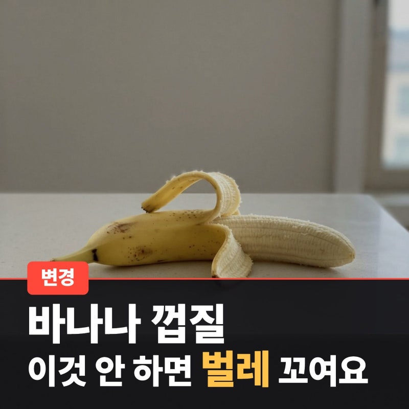 바나나껍질 분리수거 방법, 정확하게 알려드립니다