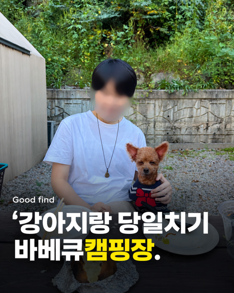 양주 캠프랩 애견동반 당일치기 바베큐, 3시간 단독 캠핑장 이용 후기