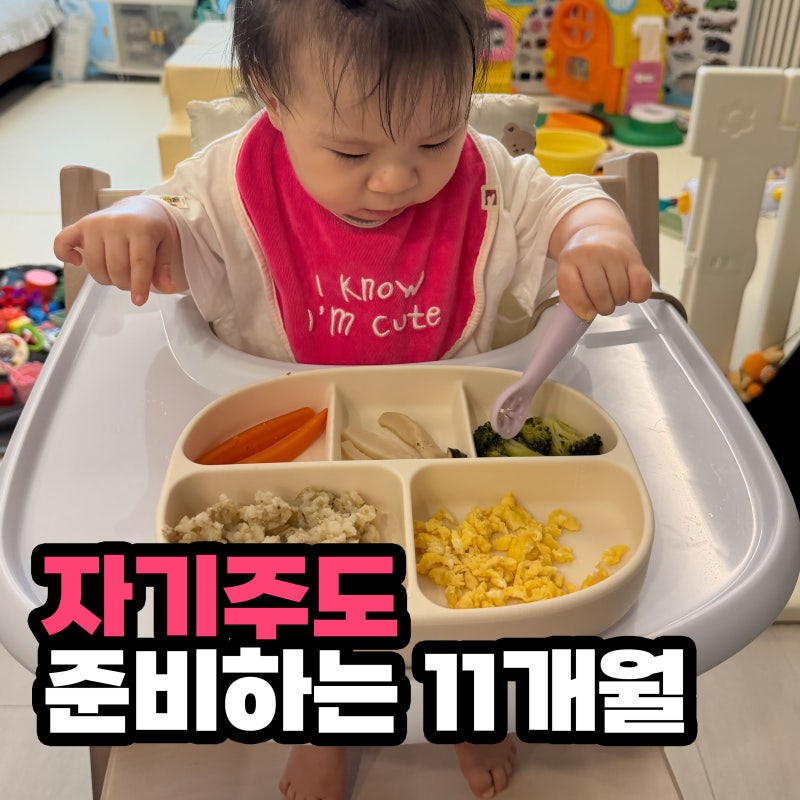 아기식판 이유식 필수템, 자기주도 준비하는 모윰 5구 흡착식판 후기
