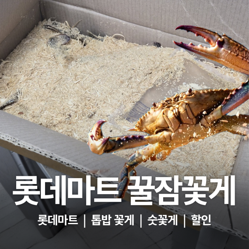 가을 제철 톱밥꽃게 롯데마트 맥스 꽃게 할인 꿀잠꽃게