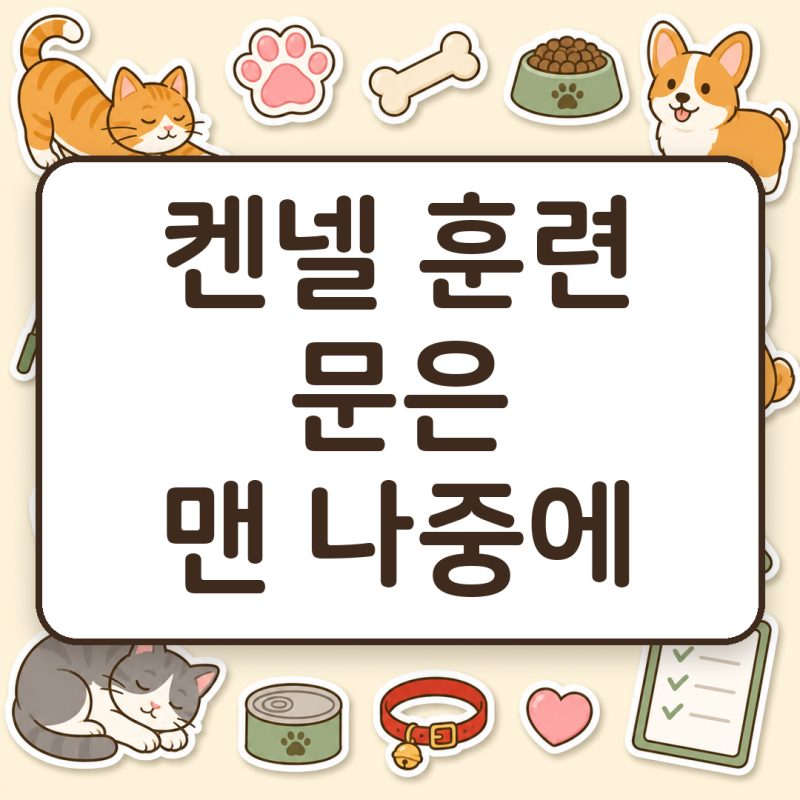 강아지 켄넬 훈련, 밥그릇이 맨 안쪽에 닿기 전엔 문을 닫지 않습니다