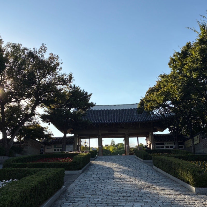 Daegu Dalseong Park: A Stroller Walk with a 14-Month-Old