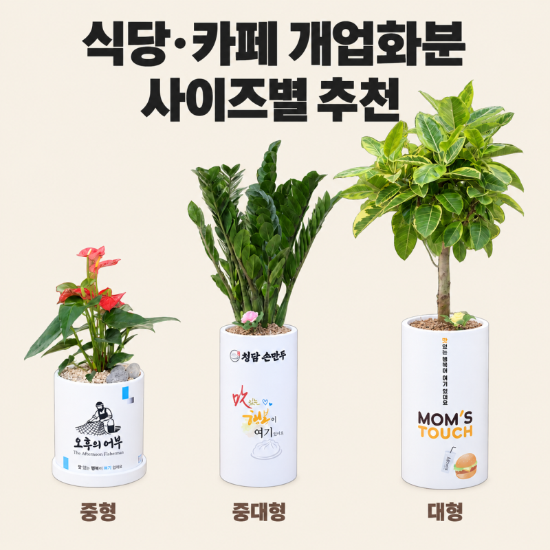 식당 카페 오픈 개업 축하 화분 추천 매장 크기와 예산에 맞는 사이즈별 개업 화분 고르는 법