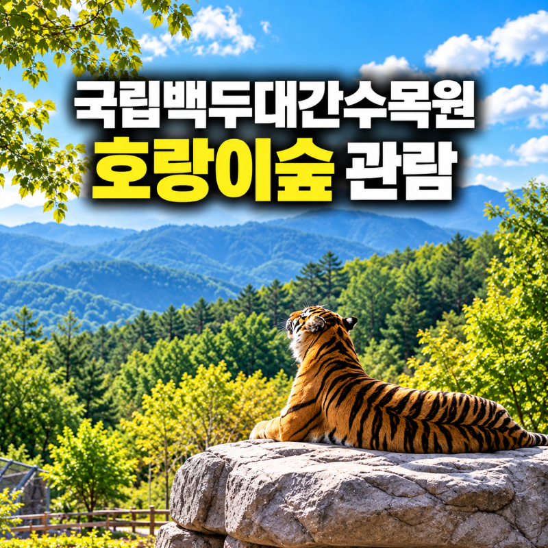 국립백두대간수목원 호랑이숲 입장료·주차·트램·숙소 총정리｜2026 추석 무료입장