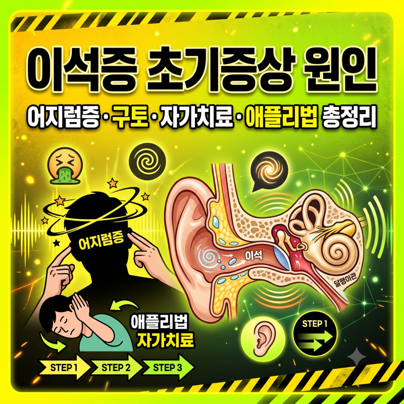 2026 이석증 초기증상 원인 어지럼증 자가치료 애플리법 총정리