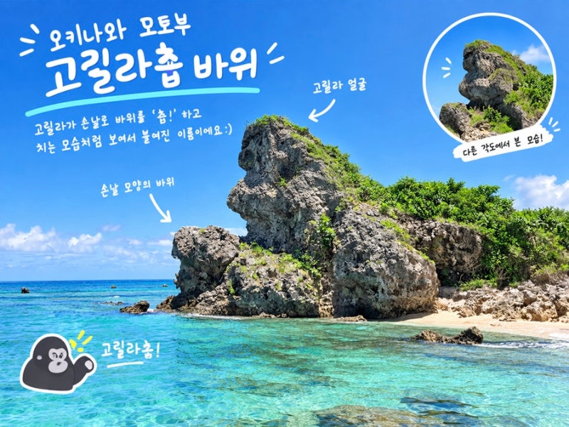 오키나와 북부 여행 | 스노클링 명소 추천 물고기 가득한 바다