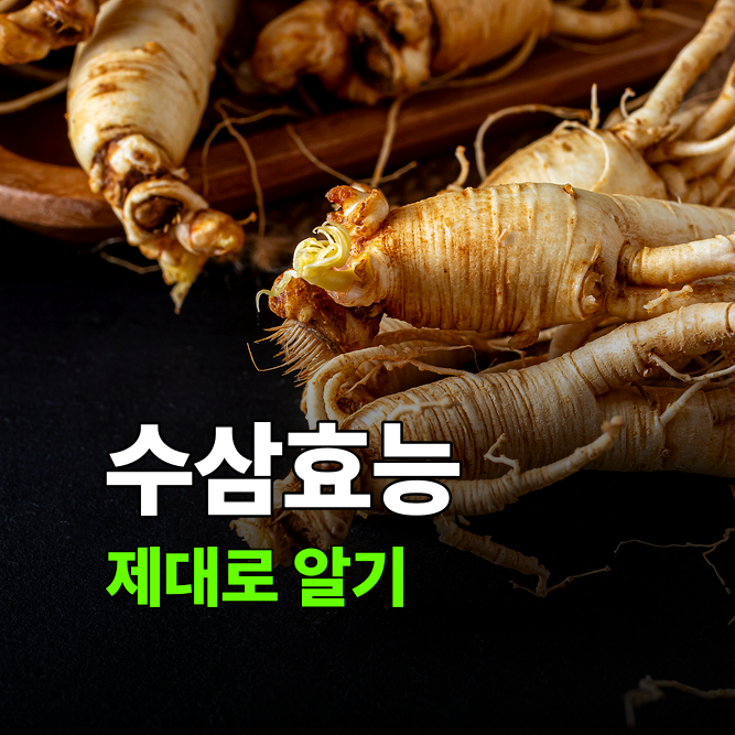 수삼효능, 생삼과 익힌 인삼은 쓰임새부터 다릅니다