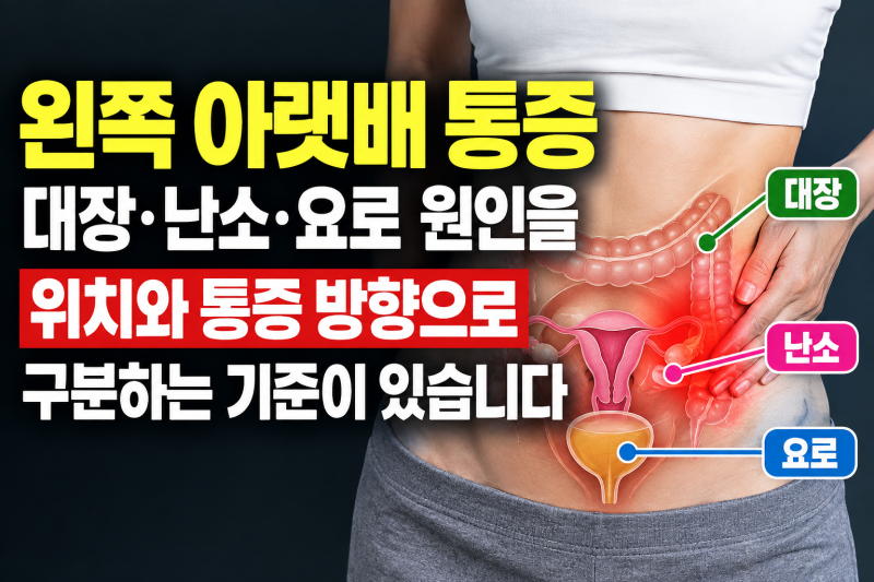 왼쪽 아랫배 통증 — 대장·난소·요로 원인을 위치와 통증 방향으로 구분하는 기준이 있습니....
