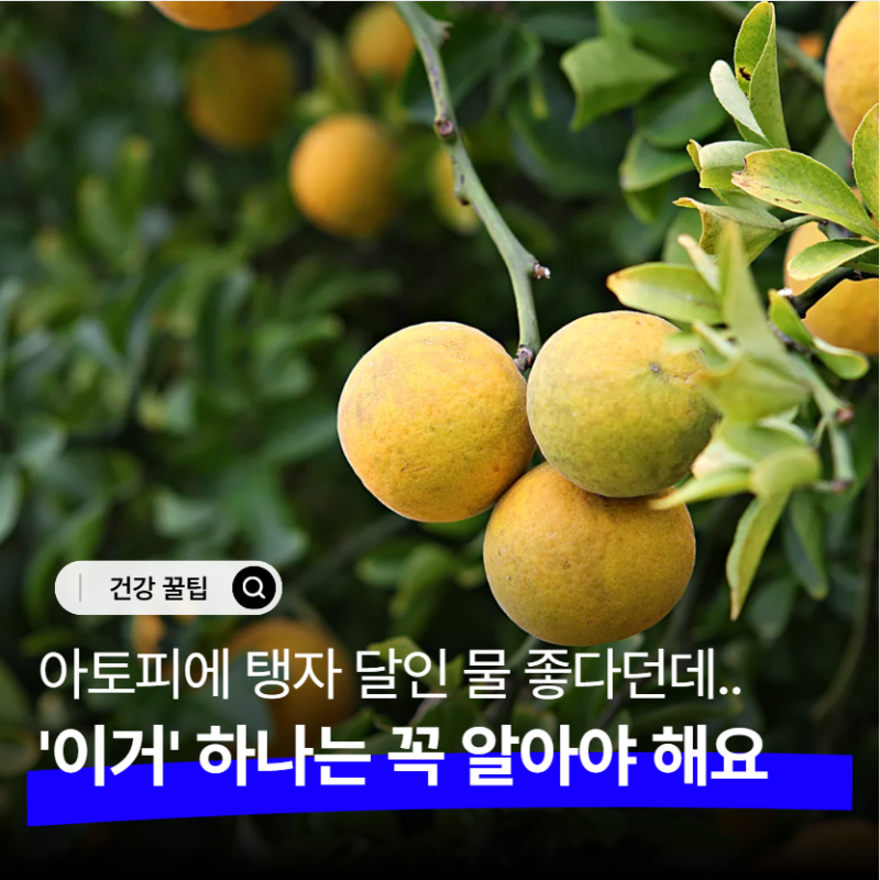 "탱자 효능 좋다길래 아이 피부에도?" 아토피에 직접 쓰기 전 알아둘 점