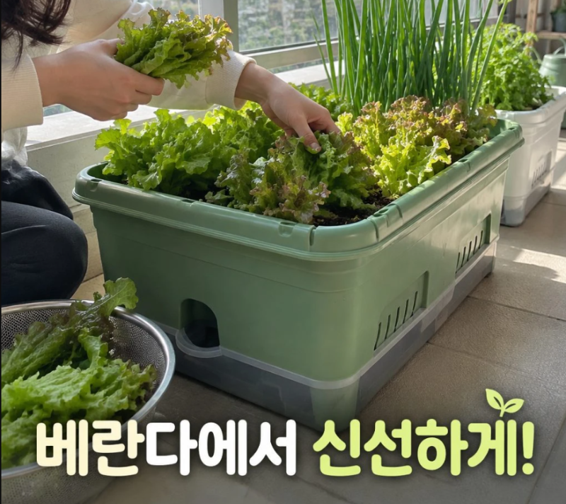 베란다 텃밭 상추 대파 키우기｜30L 저면관수 텃밭화분 활용법