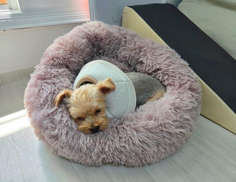 강아지 방석 쿠션 추천 멍멍집사 코지 원형 도넛