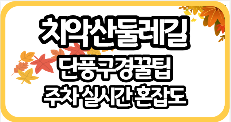 치악산 둘레길 단풍 실시간 CCTV, 절정시기, 주차장, 혼잡도 확인: 국향사·구룡사 우회 주차
