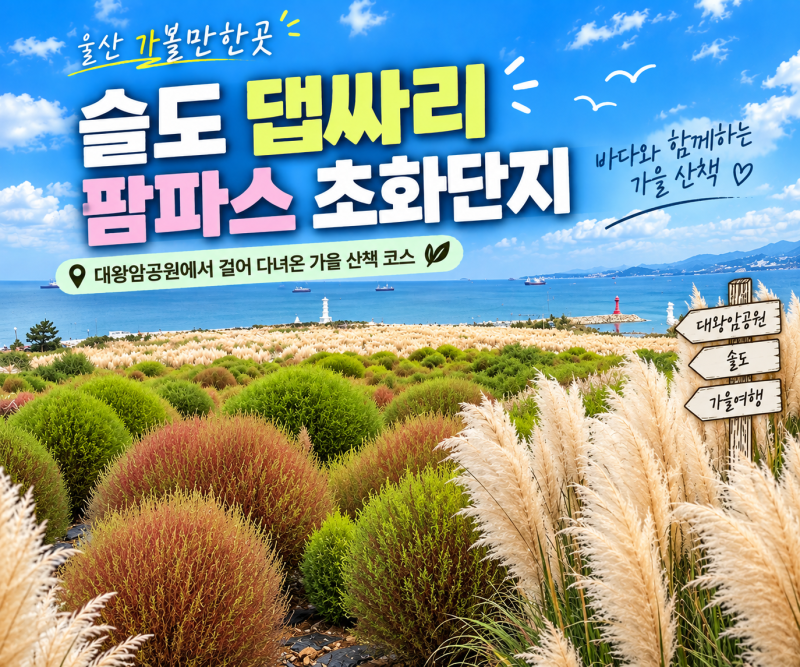 울산 가볼만한곳 슬도 댑싸리 팜파스 초화단지｜대왕암공원에서 걸어 다녀온 가을 산책