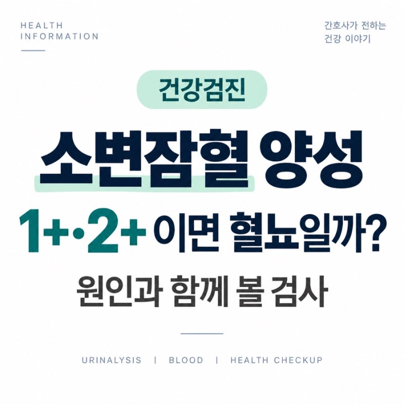 건강검진 소변잠혈 양성｜1+·2+이면 혈뇨일까? 원인과 함께 볼 검사
