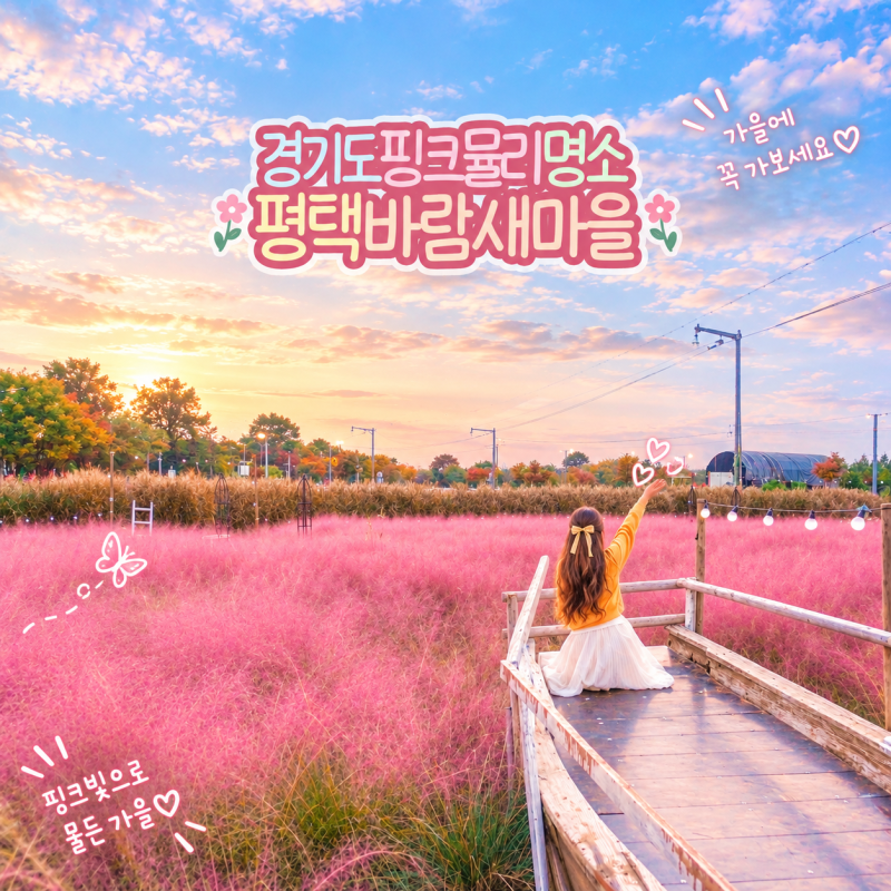 경기도 평택 가볼만한곳 바람새마을 핑크뮬리 명소 드라이브
