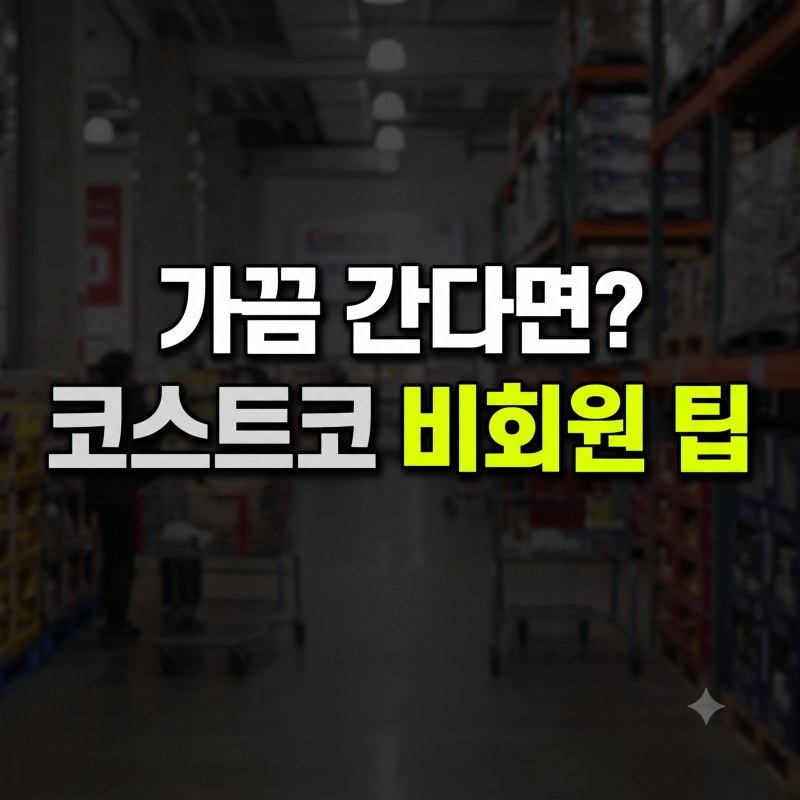 1년에 몇 번 안 간다면 필독! 코스트코 비회원 입장 및 결제 가이드