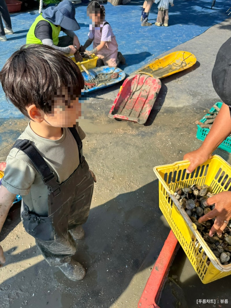 Yeongjongdo Mudflat Experience at Nambuk Fishing Village: An Honest Review