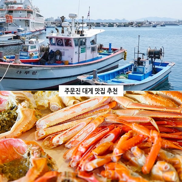 Jumunjin Port Raw Fish Restaurant, a Must-Visit in Jumunjin | King Crab, Red Snow Crab, and Mulhoe in Gangneung