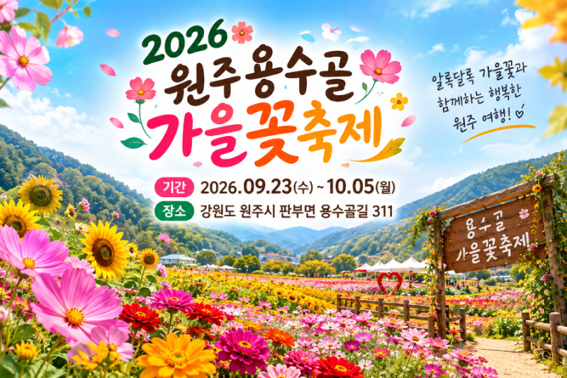 원주 가을꽃 명소 2026 원주용수골가을꽃축제 총정리!
